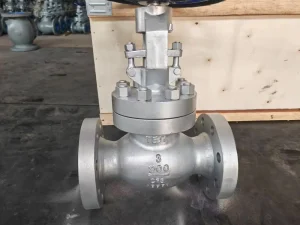 AISI304 Stainless Steel Swing Check Valve Flange Non Return Valve Water Oil Gas Pipe Fitting