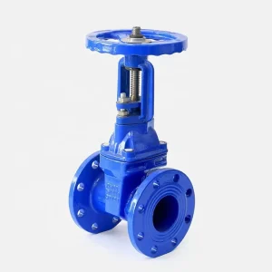 AIVALVE DN150 Din3352 F5 Rising Stem Manual Hard Seal Gate Valve 0~1.0 MPa Pressure for Water Supply