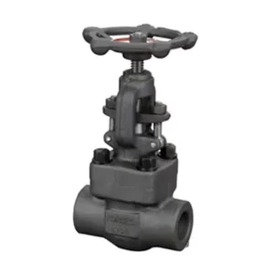 ANSI API Globe Valve Forged Steel A105 SS Threaded Socket Weld Integral Ends High Temperature&Pressure Power Station
