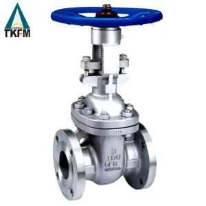 ANSI Class 150 900 Pn2 Pn16 Manual Stainless Steel Flanged Gate Valve for Industry
