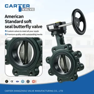 ANSI Soft Seal Butterfly Valve Ductile Iron SS304 Wafer Lug Manual Gear Concentric EPDM NBR Water Oil API609 Class150 OEM Custom