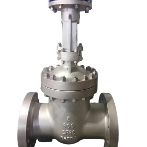 ANSI Z41H16C 150LB 300LB 600LB WCB 316 Stainless Steel Flange Connection High Pressure American Standard Manual Water Gate Valve