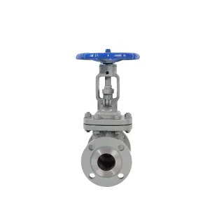 API 4inch150ibs 316 Carbon Steel Flange Connection Gate Valve Manual for Gas Oil Normal Temperature Water