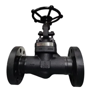 API 602 A105 Forged Steel Globe Valve Class 1500 Flange Thread End Manual Valve