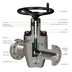 API 6A Wellhead Choke Valve Adjustable Positive Choke Valve for Oil Gas Christmas Tree 2000PSI 15000PSI NACE MR0175 H2S