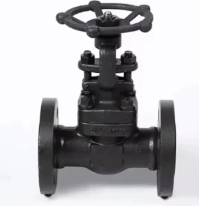 API Forged Steel Flange Globe Valve