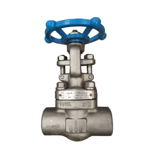 API Standard J61H Y 25C 1 2” Class 800LB Forged Steel Socket Welding Globe Valve