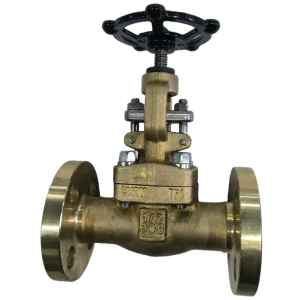 API602 Design C95800 Aluminium Bronze Manual Operated On Off Forged Globe Valve Flange Connection Sea Water OEM Coal Jiangsu for