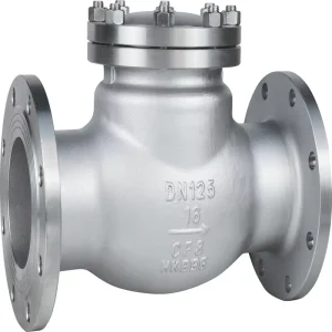 ASME B16.34 and API 6D ANSI Flanged Stainless Steel Swing Check Valves