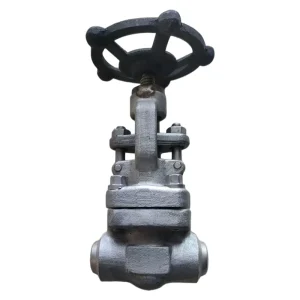 ASME Standard Small Size Forged Steel Globe Valve with Handwheel and Butt Welding Connection End Water Manual Shutoff Valve OEM