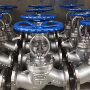 ASTM A182 F316L Class800 PN100 Angle Pattern 1Inch Stainless steel Globe Valve