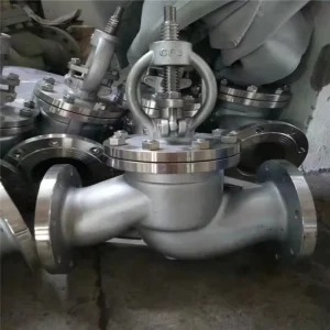 ASTM A182 F316L Stainless Steel Globe Valve Y Pattern Bellows Seal for High Temp Steam