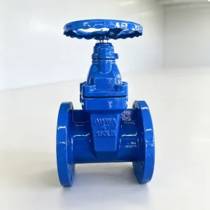 AWWA C509 C515 Ductile Iron Resilient Seat Gate Valve 4 inch 8 inch Pressure Water Gate Valve