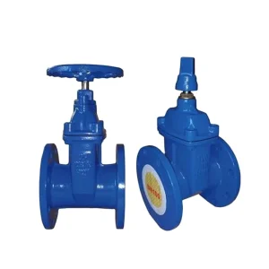 AWWAC515 Resilient Seated Gate Valve PN16 GGG50 Ductile Iron Flanged Non Rising Stem Water Sluice Valve Fire Type GOST