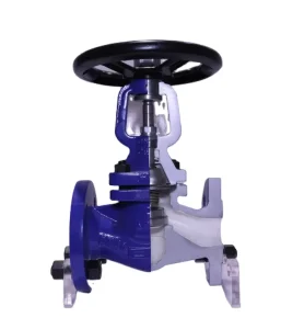 Ackam DN25 Cast Iron Globe Valve WJ41H Manual Steam Control Water Shutoff High Temperature OEM Customizable General Factory