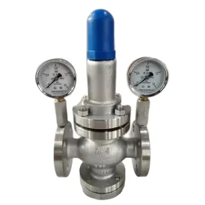 Adjustable Cast Iron and Stainless Steel Flanged Control Valve for Steam Pressure Reduction in Water Media