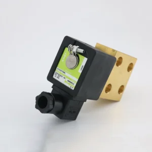 Air Compressor Parts 1089059024 Unloader Valve Blow off Valve Inch 110v with Solenoid Valve