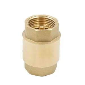 All-Brass Check Valve 1/2 Inch (dn15) Spring-Loaded Copper Core NBR Sealing Temperature Hydraulic Power Water 1 Year Warranty