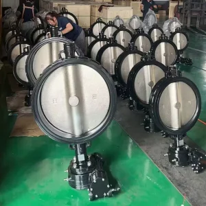All SS316 Wafer Butterfly Valve Suitable for Corrosive Medium Liquid Cooling Pipelines Chemical Wastewater Treatment Customizable