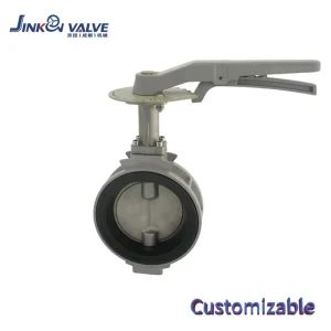 Aluminum Butterfly Valve Hand Lever Actuated EPDM Soft Seal Customizable Stainless Steel Disc