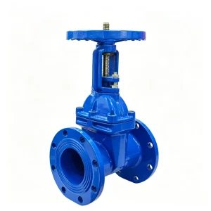 American Standard Flanged Rising Stem Soft Seal Gate Valve Ductile Iron Bright Dark Rod Manual Export Z41X-16Q Medium