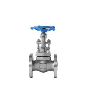 American Standard Manual Forged Stainless Steel Globe Valve Water Flange Type Hard Seal Shutoff F304