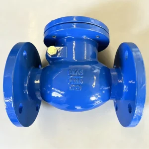 American Standard Swing Check Valve H44X EPDM Encapsulated Soft Seal Check Valve Prevents Medium Backflow