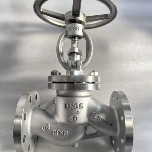Angle-Pattern Stainless Steel Globe Valve 304 304L 316 316L for Steam and Water Systems