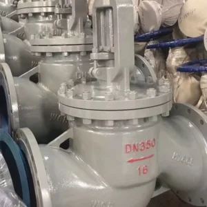 Angle Type Stainless Globe Valve 316 90° Turn Flanged End Steam Trap Drain Refinery Utility