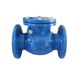 Anti-Backflow Rotary Check Valve DN50 DN300 Bronze Sealing Protects Water Systems and Pipelines