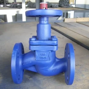 Anti Corrosion 304 Stainless Steel Globe Valve for Chemical Industry Water Treatment System