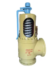 Anti Corrosion Duplex Stainless Steel Threaded Safety Valve for Water Treatment Plant Application
