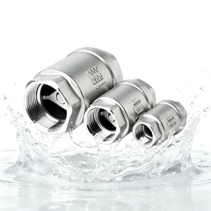 Anti Corrosion H12W SS304 Vertical Check Valve Thread Connection Lift One Way Valve for Fluid Control