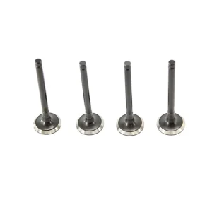 Auto Part New Materials CNG Valve