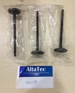 Auto Parts Valve for 94581486 96352793 96376881 96896007 96376880 90536095 90536164 96307713 96107712 641015 90409992 90409996