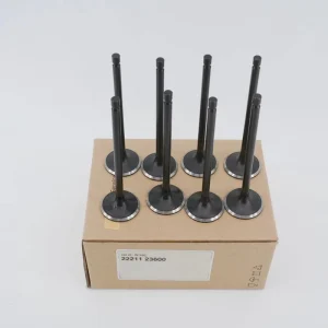 Automotive Cylinder Head Valve for Korean Car Models 22211 23600 2221123600 22211 23600