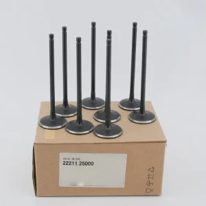 Automotive Cylinder Head Valve for Korean Car Models 22211-25000 22211 25000 2221125000 for K-ia