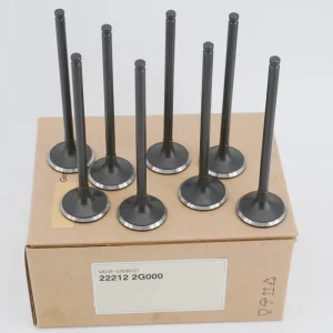 Automotive Cylinder Head Valve for Korean Car Models 22212-2G000 22212 2G000 222122G000 for K-ia