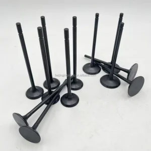 Automotive Engine Parts Valve Assembly Intake Valve Exhaust Valve 22211-2S000 22212-2S000