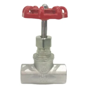 B Type Stainless Steel Industrial J11w 16 Female Threaded Globe Valve Straight for Water Gas Oil DN15 Dn100 High Manual