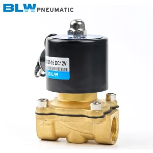 BLW PNEUMATIC AC DC 36V 12V 24V Solenoid Valve Water Two Way Control Valve 2W025 08 220V 110V 380V Brass