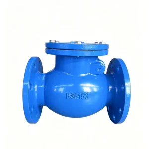 BS British Standard Check Valve H44T/H44X-16Q, Ductile Iron Valve Body, Brass Sealed or EPDM Sealed One-way Valve