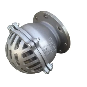BS Standard PN10/16 DN40-DN400 Flange Stainless Steel 304 Foot Bottom Valve with Stainless Steel Filter for Pump Check Valve