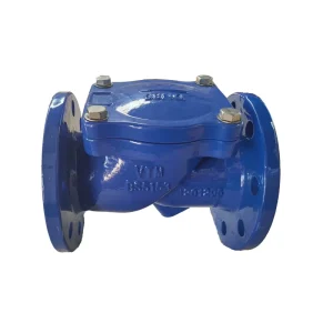 BS5153 Flange End Non Return Valve Ductile Iron Rubber Seat Check Valve for Water