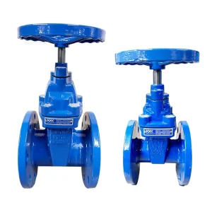 BS5163 DIN3202 3352 F4 F5 SABS663 Ks JIS5K 10K OS&Y Nrs Ductile Cast Iron Resilient Rubber Seat Flange Gate Valve