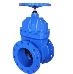 BS5163 Di Flange Wedge Soft Seal Gate Valve Manually Operated Gate Valve
