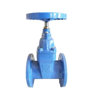BS5163 Ductile Iron Double Flanged Resilient Seat Gate Valves