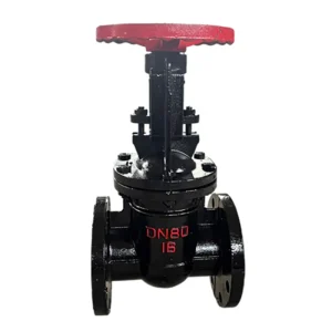 BS5163 Ductile Iron Gray Cast Iron HT200 PN16 DN40 DN800 Flange Resilient Seat Soft Seal Gate Valve Hard Seal Gate Valve OEM ODM