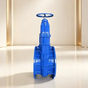 BS5163 Elastic Seat Ring Gate Valve Non Rising Stem PN10 PN16 DN50 DN1400 Cast Iron Flange Soft Seal