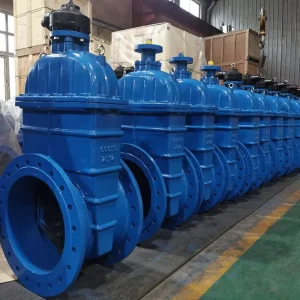 BS5163 Standard Flanged Gate Valve GGG50 Ductile Iron Resilient Seated Sluice Valve for Municipal Water